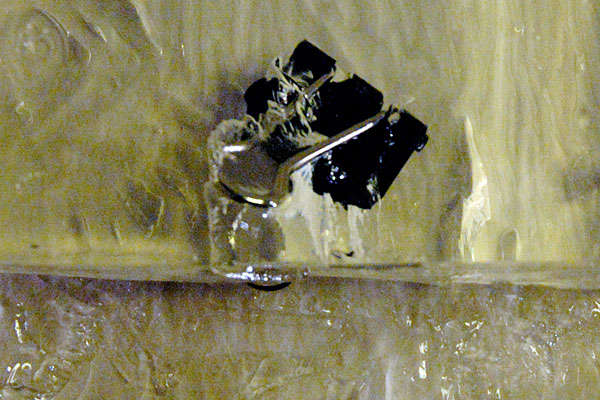 A Mauly 19 a few cm inside the ballistic gel